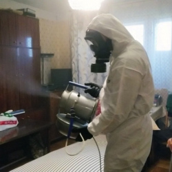 Дезинфекция от клопов в Большом Буньково
