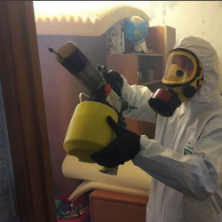 Уничтожение клопов в квартире. Большое Буньково